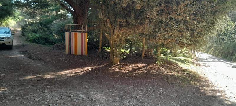 0 Bedroom Property for Sale in Hogsback Eastern Cape